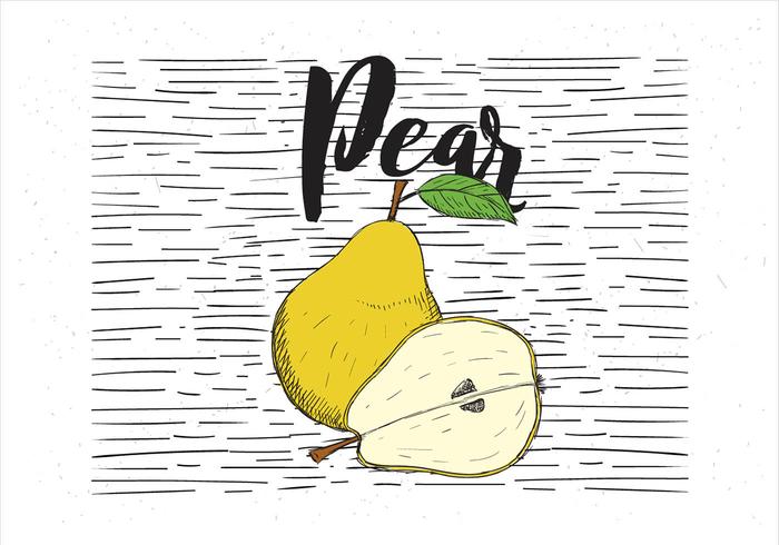 700x490 Pear Free Vector Art