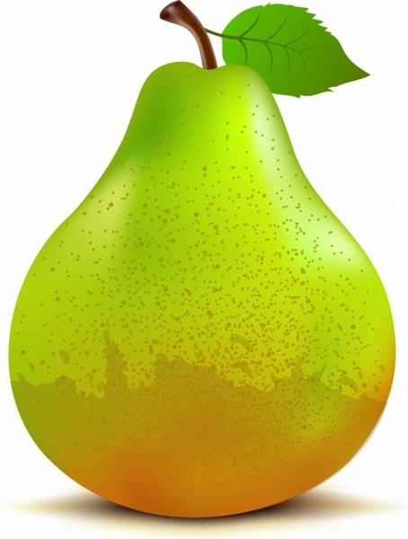 454x600 Pear Free Vector In Adobe Illustrator