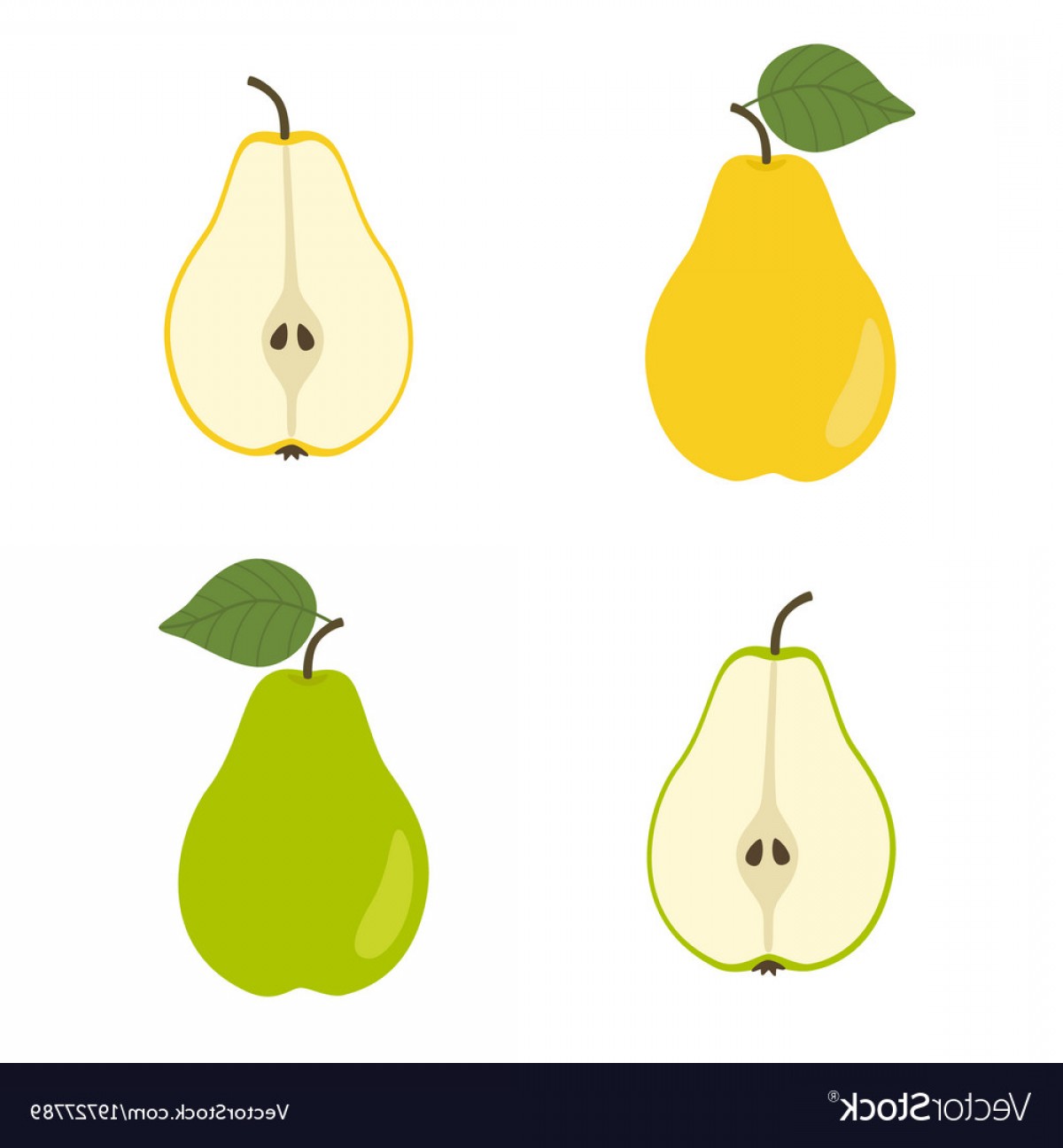 Yellow And Green Pear Slice Pears Vector Soidergi 1200x1296 Yellow And Green Pear Slice Pears Vector Soidergi