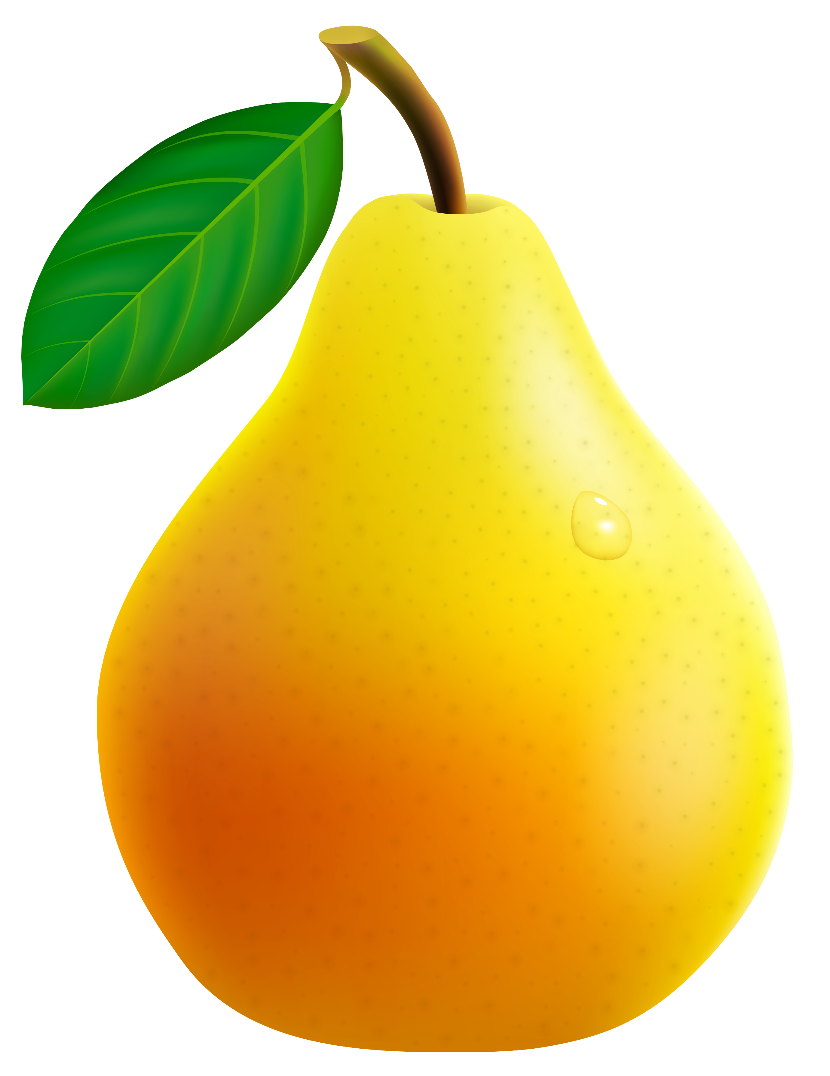 2761x3581 Yellow Pear Png Vector Clipart
