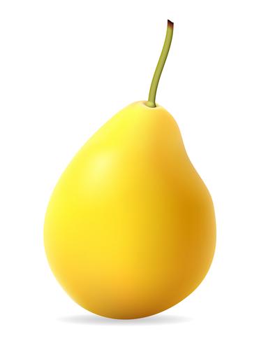 381x490 Pear Vector Illustration