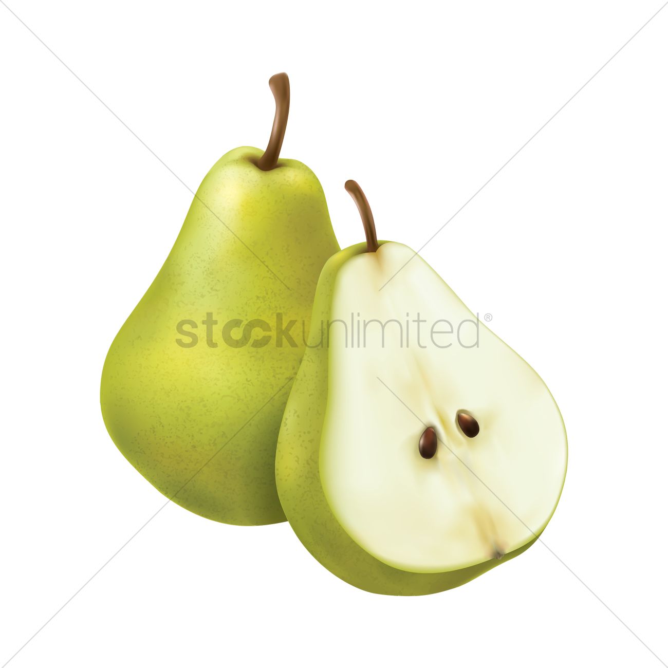 1300x1300 Cross Section Of Pear And A Whole Pear Vector Image