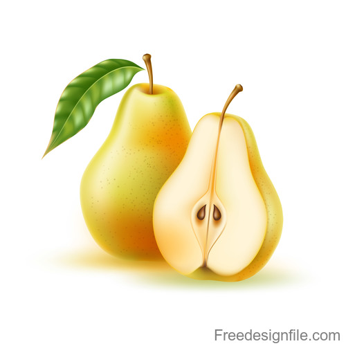 500x500 Fresh Pear Vector Illustration Material Free Download