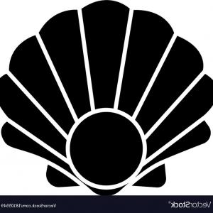 300x300 Pearl Shell Vector Line Icon Sign Illustration On Background