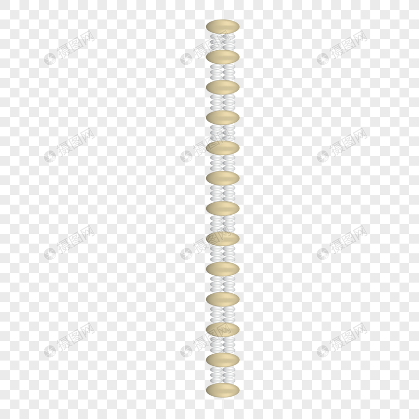 860x860 Vector Pearl Necklace Png Image Picture Free Download