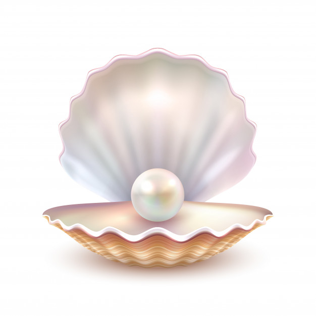 626x626 Pearl Vectors, Photos And Free Download