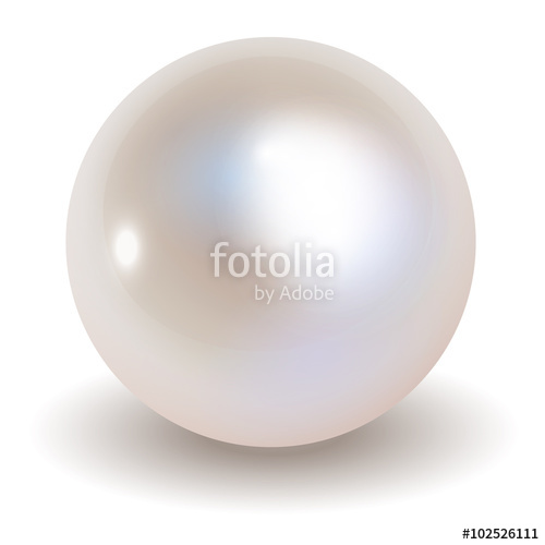 500x500 Pearl Vector On White Background Stock Image And Royalty Free