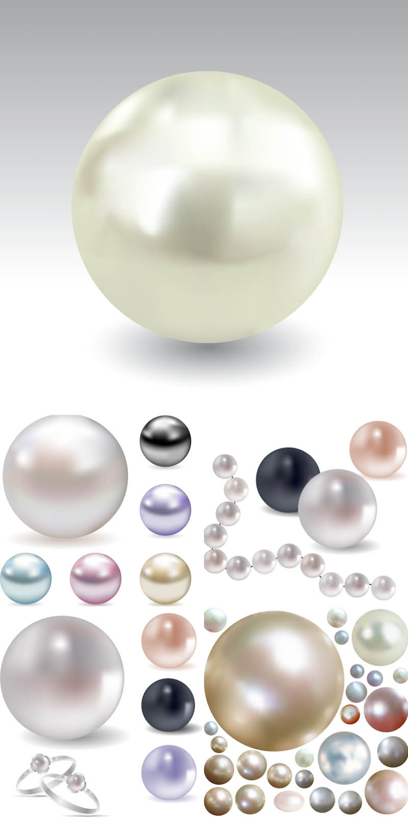 Pearl Vector at Vectorified.com | Collection of Pearl Vector free for