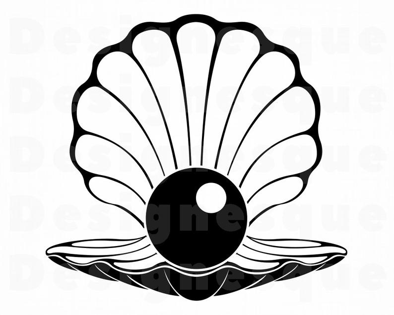 Pearl Vector at Vectorified.com | Collection of Pearl Vector free for
