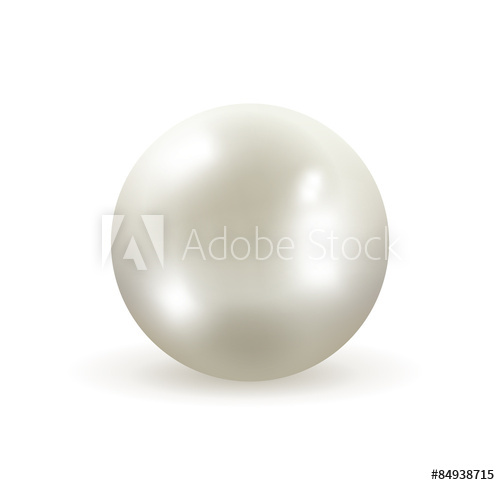 500x485 White Pearl Vector Illustration