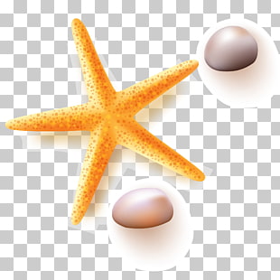 310x310 Vector Pebbles Png Cliparts For Free Download Uihere