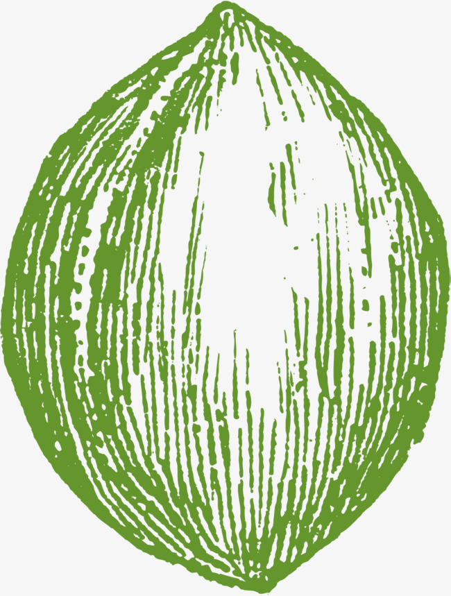 650x859 Hand Painted Jasper Root Fruit, Bi Root Hand Painted, Nut, Pecan