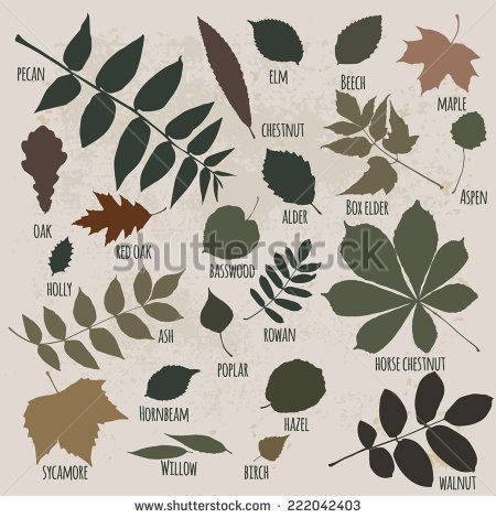 450x470 Pin On Outdoors