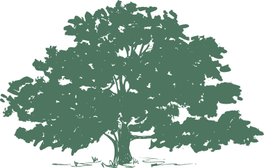 380x243 Testimonials Rickert Landscaping Tree Service