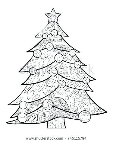 375x470 Pecan Tree Coloring