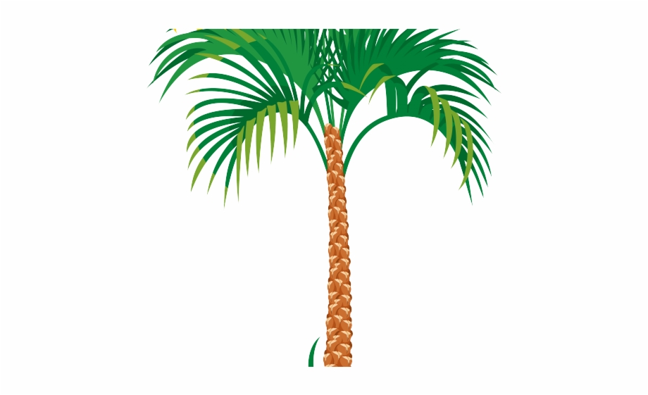 920x561 Date Palm Clipart Pdf