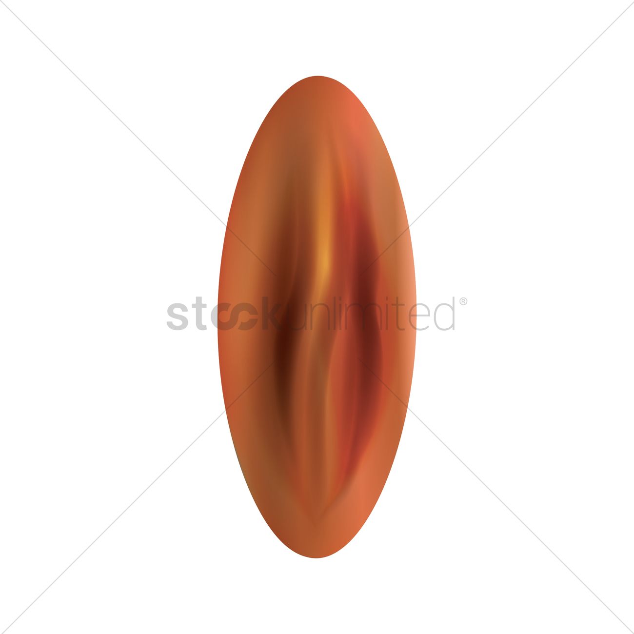 1300x1300 Pecan Vector Image