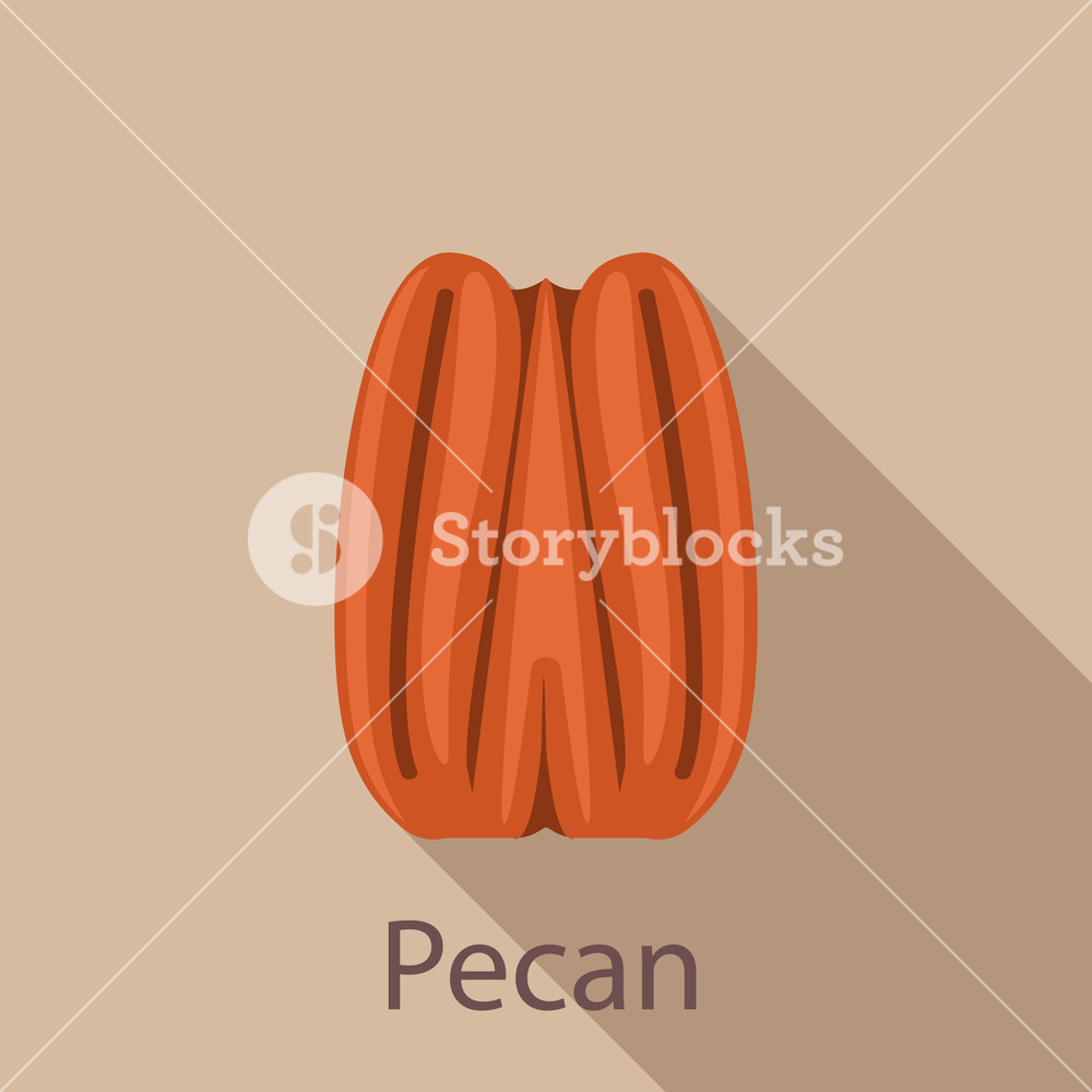 1000x1000 Pecan Icon Flat Illustration Of Pecan Vector Icon For Web Design