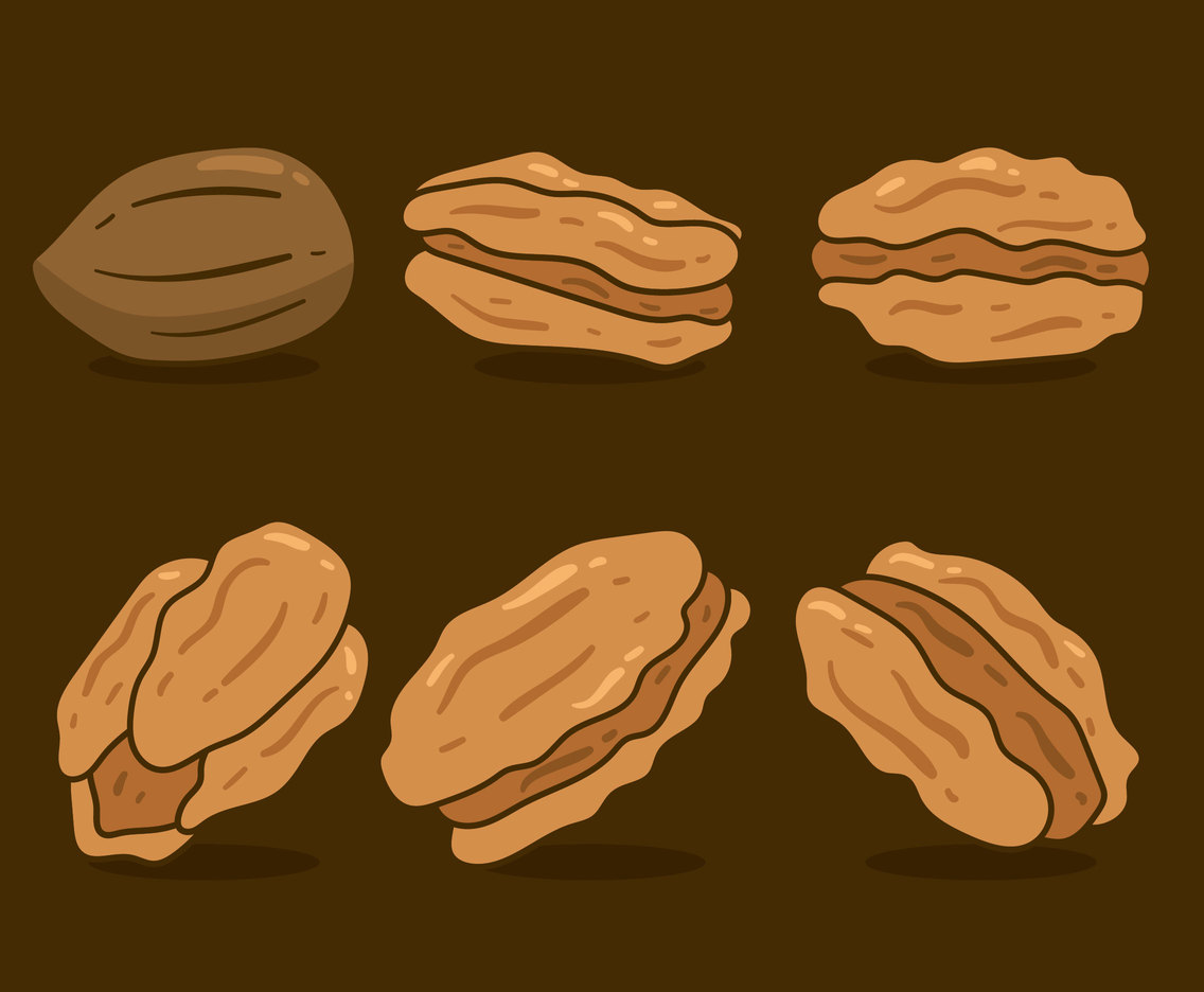 1136x936 Brown Pecan Nuts Vector Vector Art Graphics