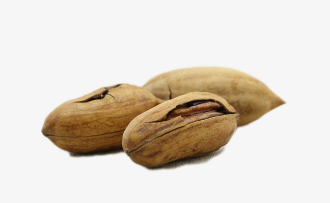 650x400 Three Pecans, Brown, Pecans, Vector Png And Vector For Free Download