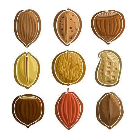 Vector Set Nuts Logo Pecan, Almond, Hazelnut Filbert, Pistachio 450x450 Vector Set Nuts Logo Pecan, Almond, Hazelnut Filbert, Pistachio