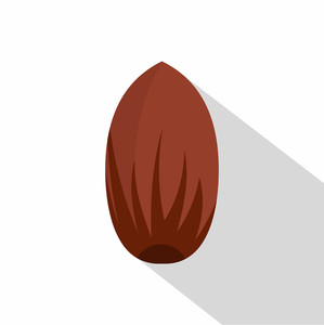 299x300 Pecan Nuts Royalty Free Vectors