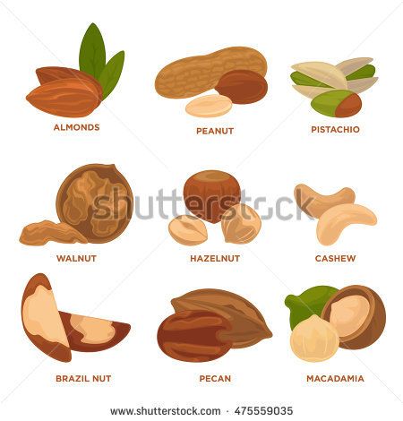 450x470 Image Result For Pecan Vector Pie Day Pecan, Pie, Cutting Board