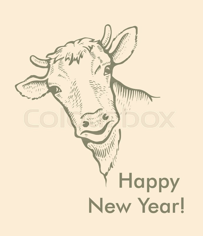 Portrait Of Bulls Cow Peeps Out With Stock Vector Colourbox 690x800 Portrait Of Bulls Cow Peeps Out With Stock Vector Colourbox