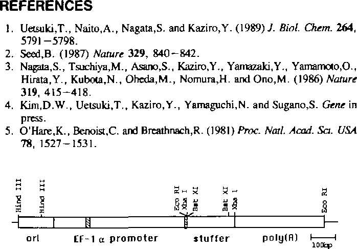 698x486 Figure From Pef Bos, A Powerful Mammalian Expression Vector