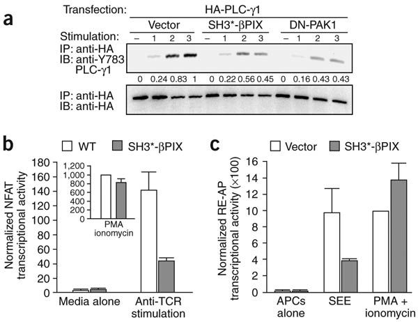 600x462 Figure Expression Of Inhibits Tcr Induced