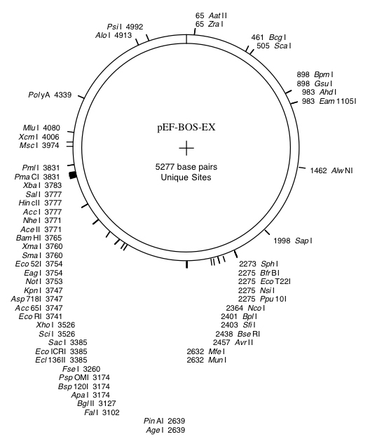 528x626 Pef Bosex Sequence Shigekazu Nagata Of Medical