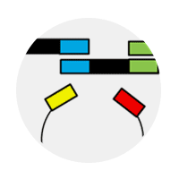 200x200 Bicistronic Ires Vectors
