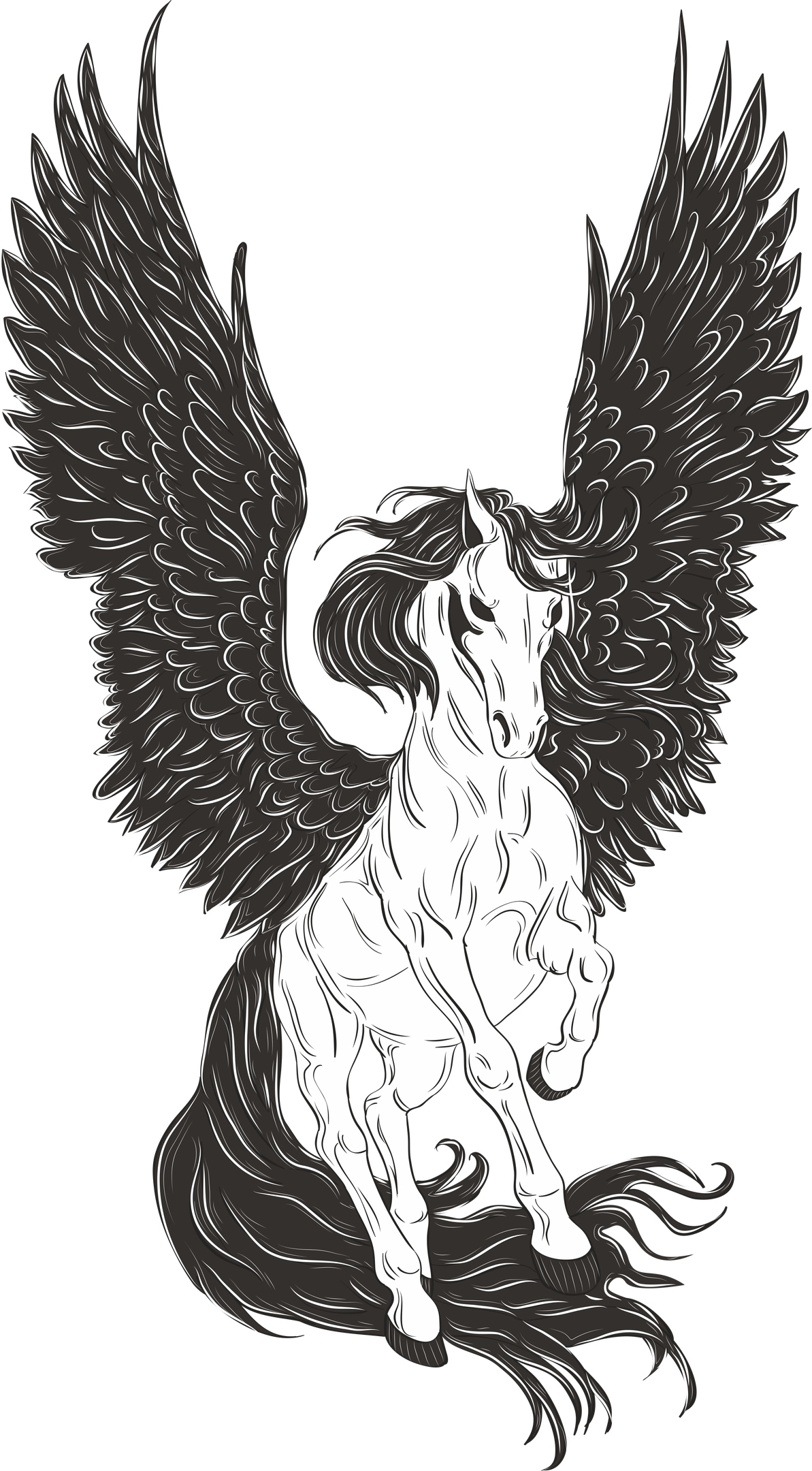1193x2160 Pegasus Vector Free Vector Download In Cdr