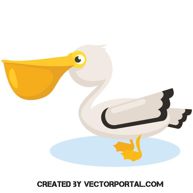 Cute Pelican Vector Image 660x660 Cute Pelican Vector Image