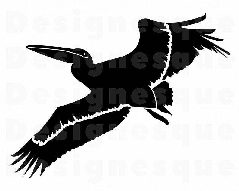 Pelican Vector at Vectorified.com | Collection of Pelican Vector free ...