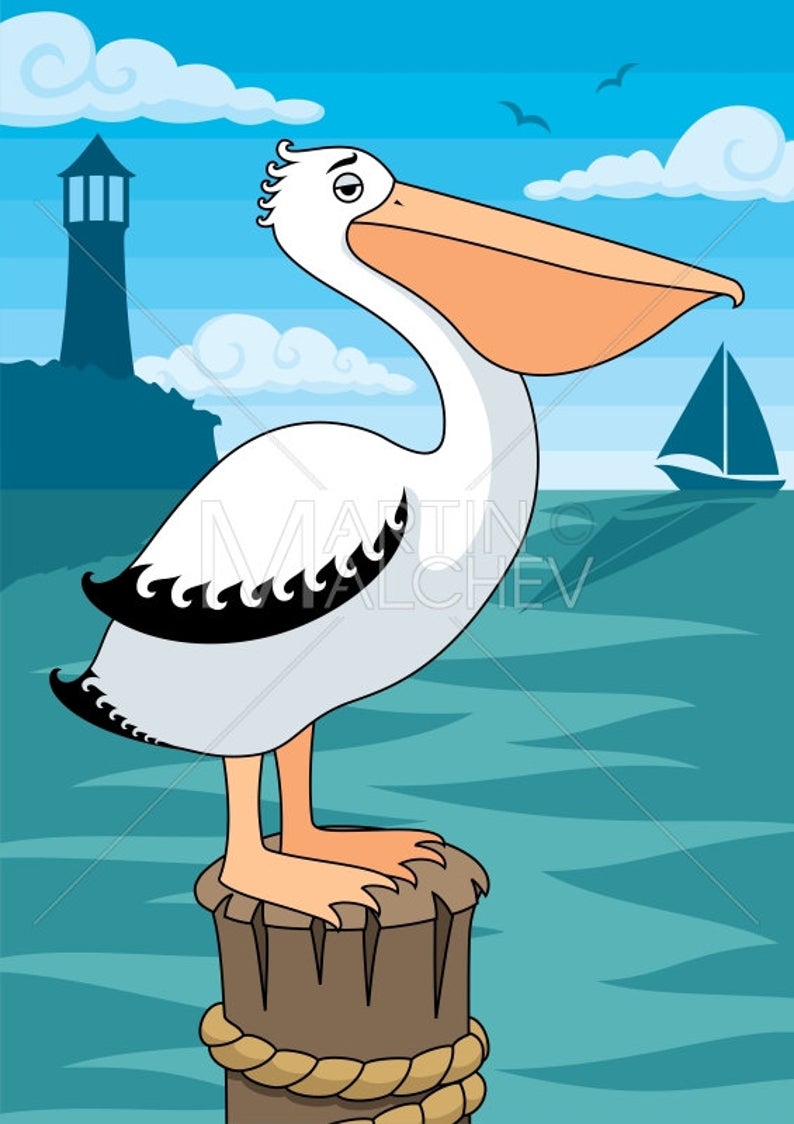 Pelican Vector Cartoon Illustration Bird Pouch Water Etsy 794x1124 Pelican Vector Cartoon Illustration Bird Pouch Water Etsy