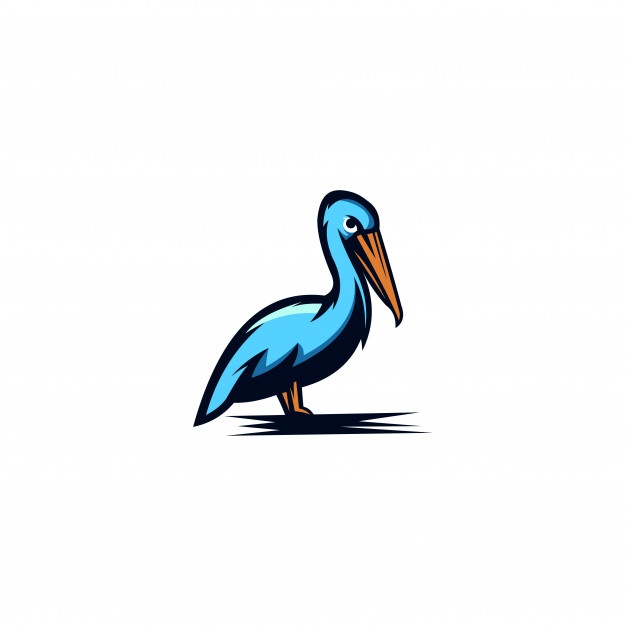 Pelican Vector Vectors, Photos And Free Download 626x626 Pelican Vector Vectors, Photos And Free Download
