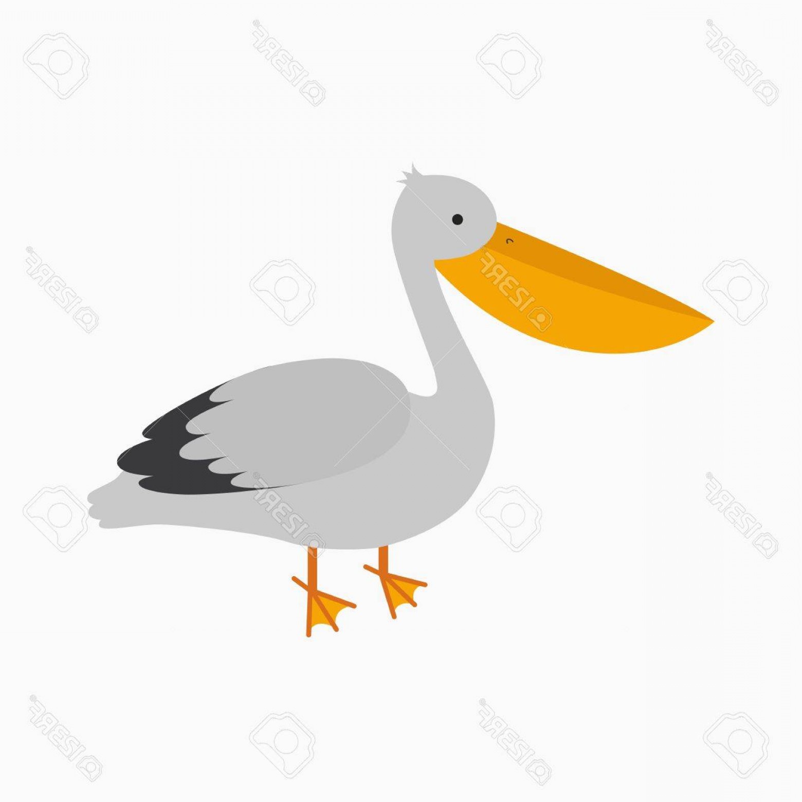 Photostock Vector Cute Cartoon Pelican Vector Illustration Cqrecords 1560x1560 Photostock Vector Cute Cartoon Pelican Vector Illustration Cqrecords