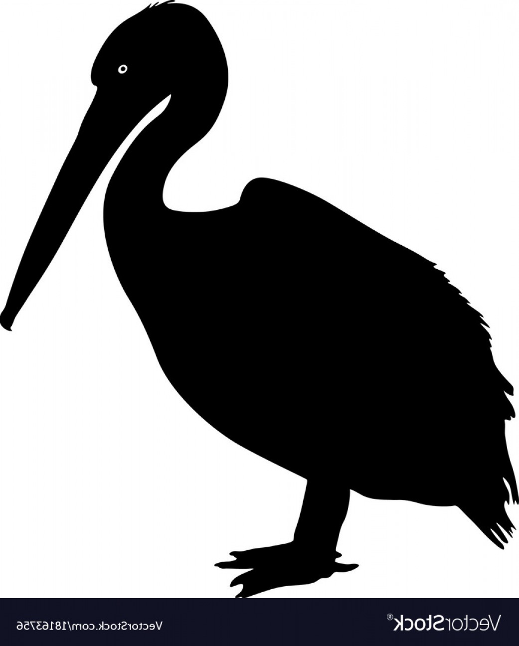 Silhouette Bird Pelican On A White Background Vector Cqrecords 1041x1296 Silhouette Bird Pelican On A White Background Vector Cqrecords
