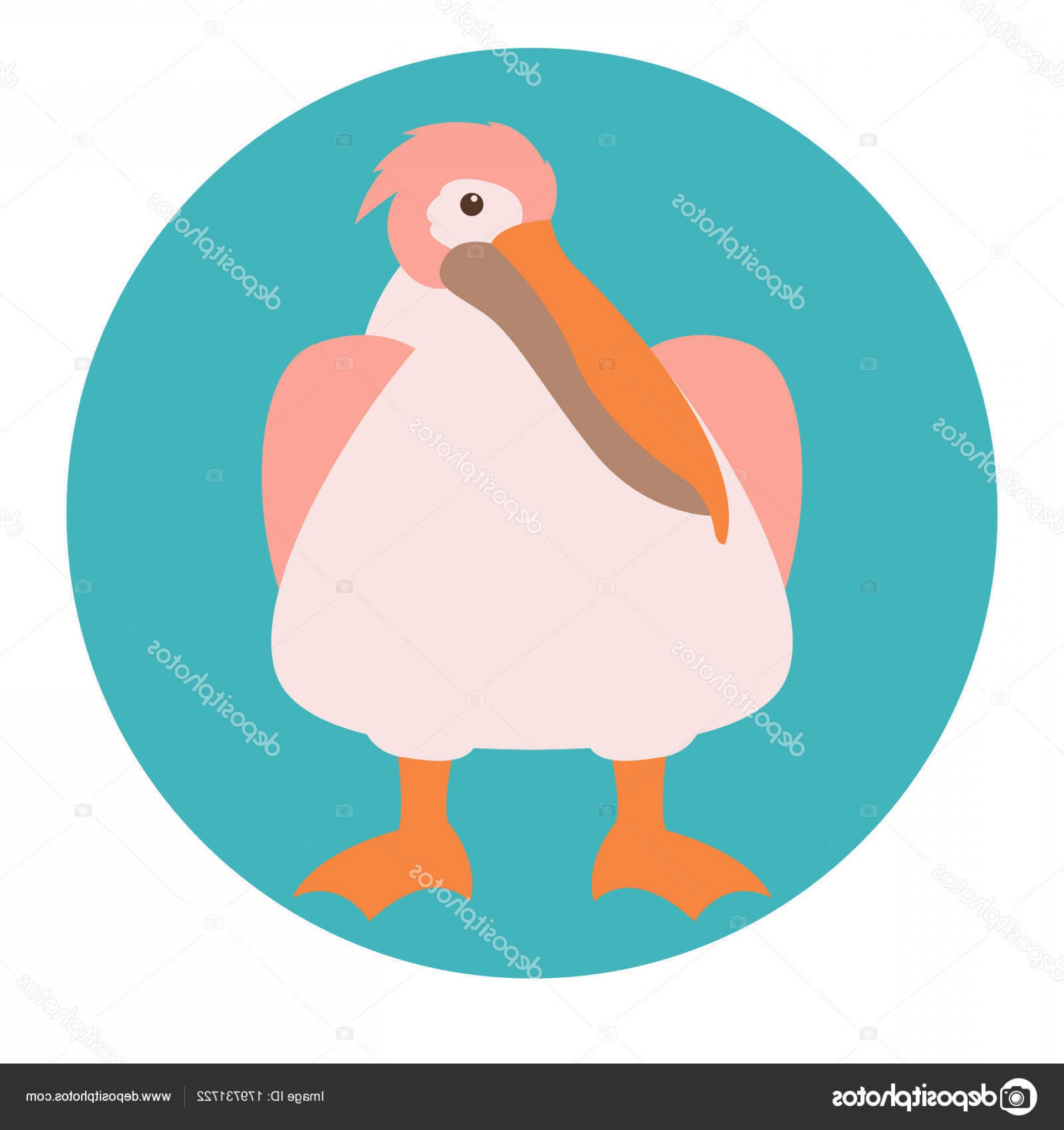 Stock Illustration Pelican Vector Illustration Flat Style 1920x2040 Stock Illustration Pelican Vector Illustration Flat Style