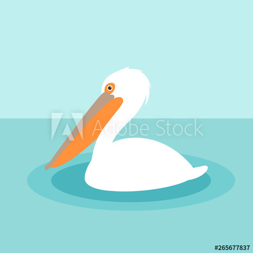 Pelican Vector Illustration, Flat Style, Profile 500x500 Pelican Vector Illustration, Flat Style, Profile