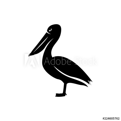 Pelican Vector Silhouette 500x500 Pelican Vector Silhouette