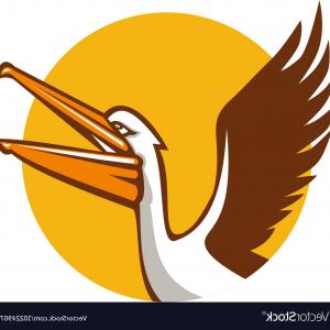 Pelican Flying Up Circle Retro Vector Hoodamathrun 300x300 Pelican Flying Up Circle Retro Vector Hoodamathrun