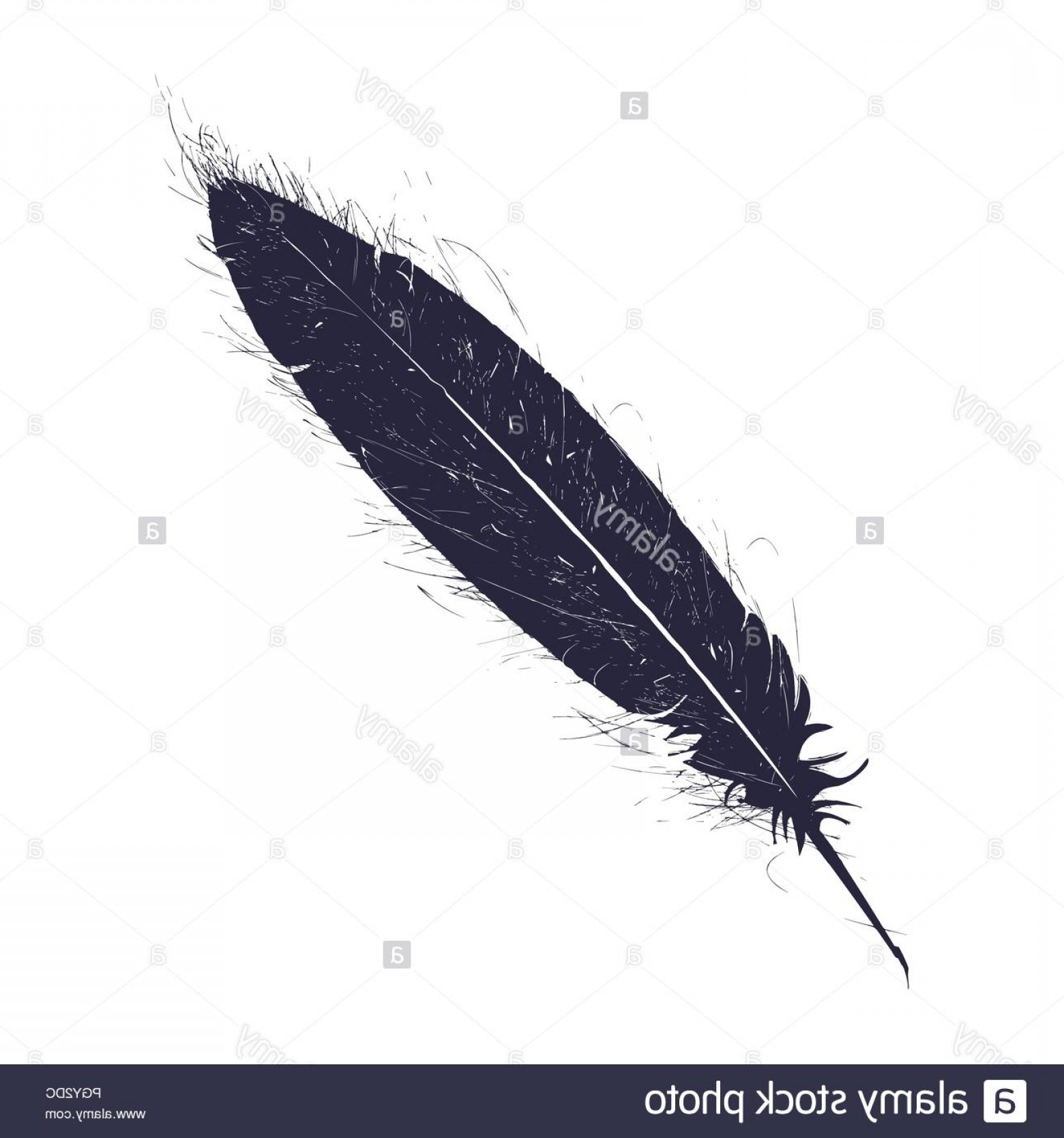Old Feather Pen Vector Icon Image Newwaysys 1560x1668 Old Feather Pen Vector Icon Image Newwaysys