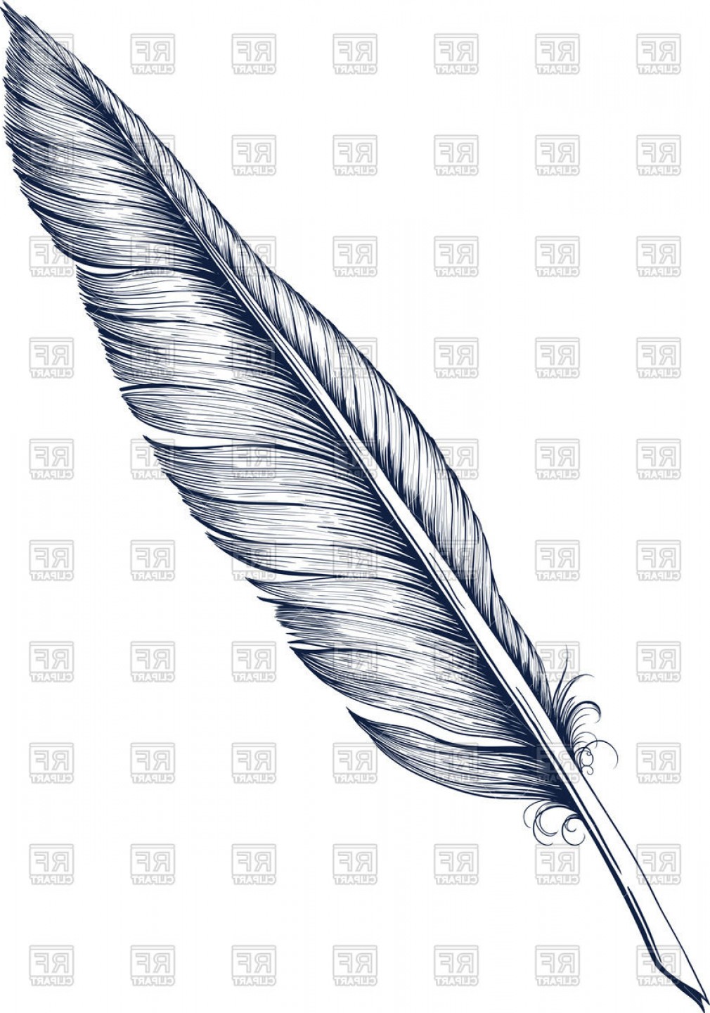 Quill Feather Pen Vector Cqrecords 1010x1440 Quill Feather Pen Vector Cqrecords