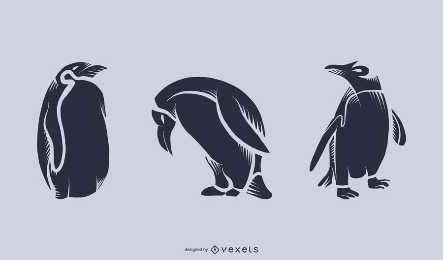900x529 Penguin Silhouette Illustration