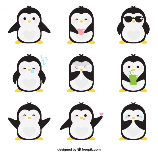 626x626 Penguin Vectors, Photos And Free Download