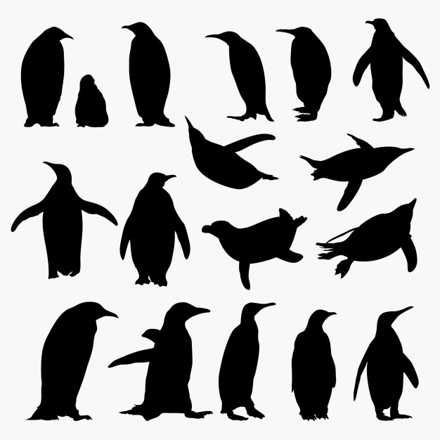 626x626 Penguin Silhouettes Vector Premium Download