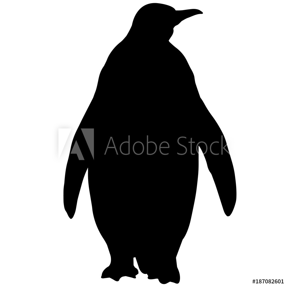 1000x1000 Photo Art Print Penguin Silhouette Vector Graphics Europosters