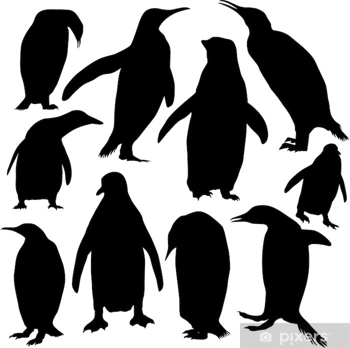 Penguin Silhouette Vector at Collection
